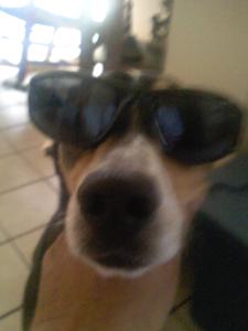 St. Maximilian (aka.  Max)