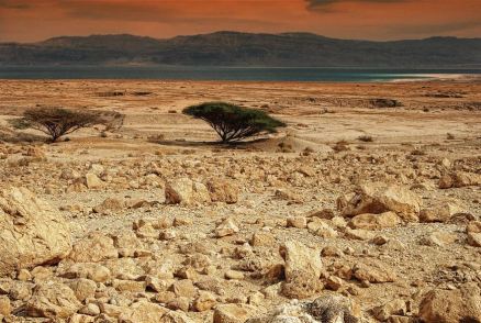 desert-judea